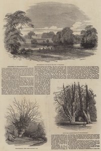 Schetsen van Strathfieldsay